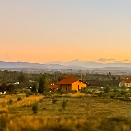 Vila Da Laje - Onde A Natureza O Envolve - Serra Da Estrela 올리베이라두오스피탈 외부 사진