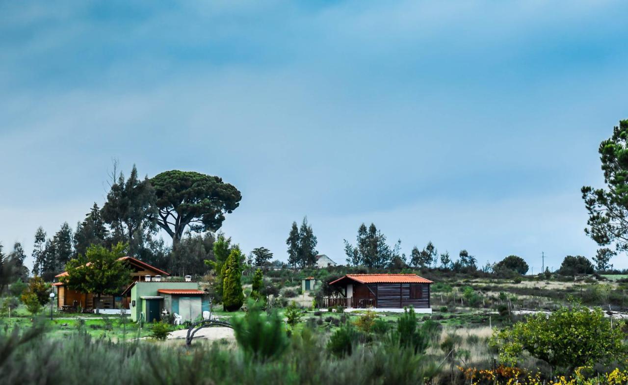 Vila Da Laje - Onde A Natureza O Envolve - Serra Da Estrela 올리베이라두오스피탈 외부 사진