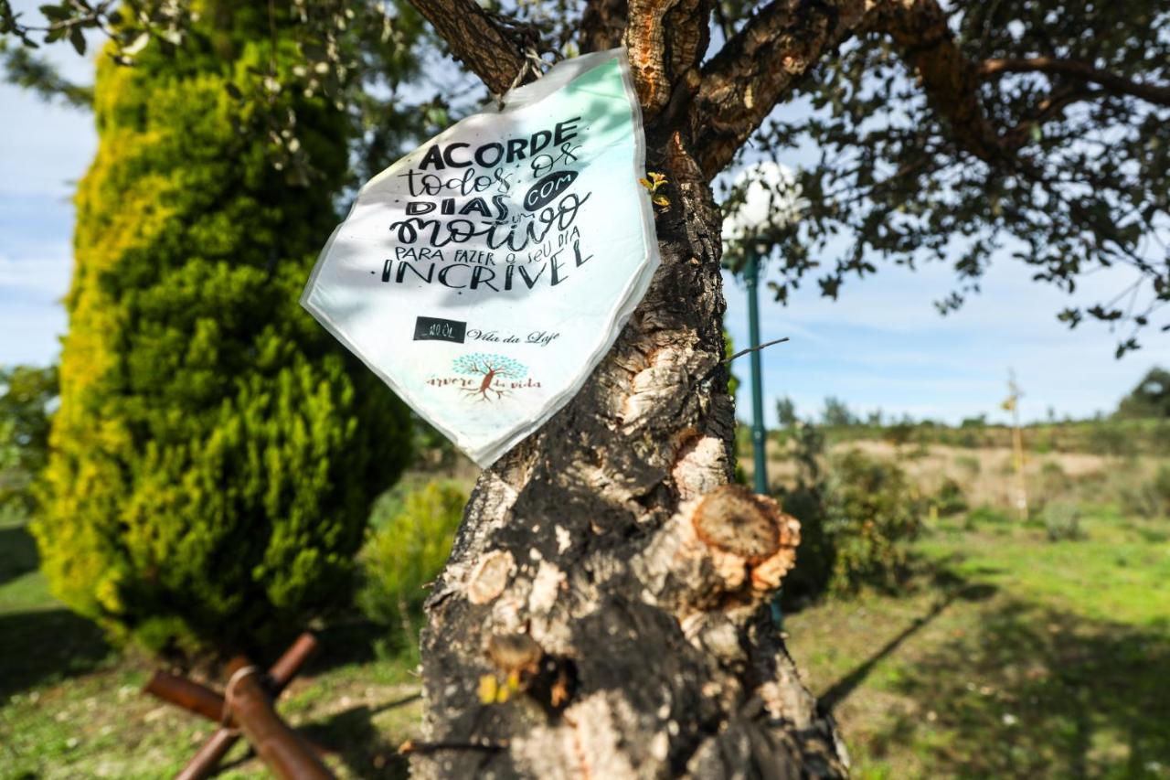 Vila Da Laje - Onde A Natureza O Envolve - Serra Da Estrela 올리베이라두오스피탈 외부 사진